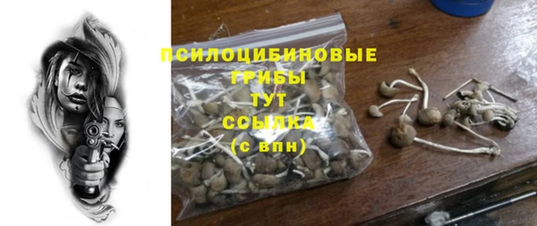 spice Белокуриха