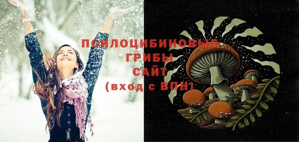 spice Белокуриха