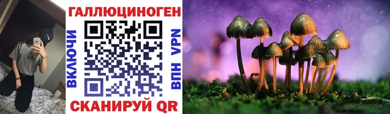 Галлюциногенные грибы мухоморы  закладка  Гусь-Хрустальный 